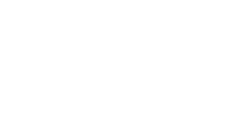 The Live Experience